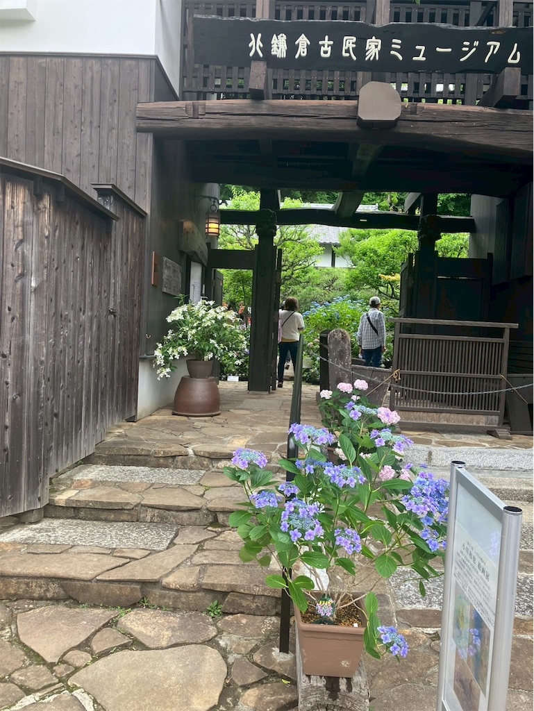 f:id:takaaoyama:20260608114508j:image