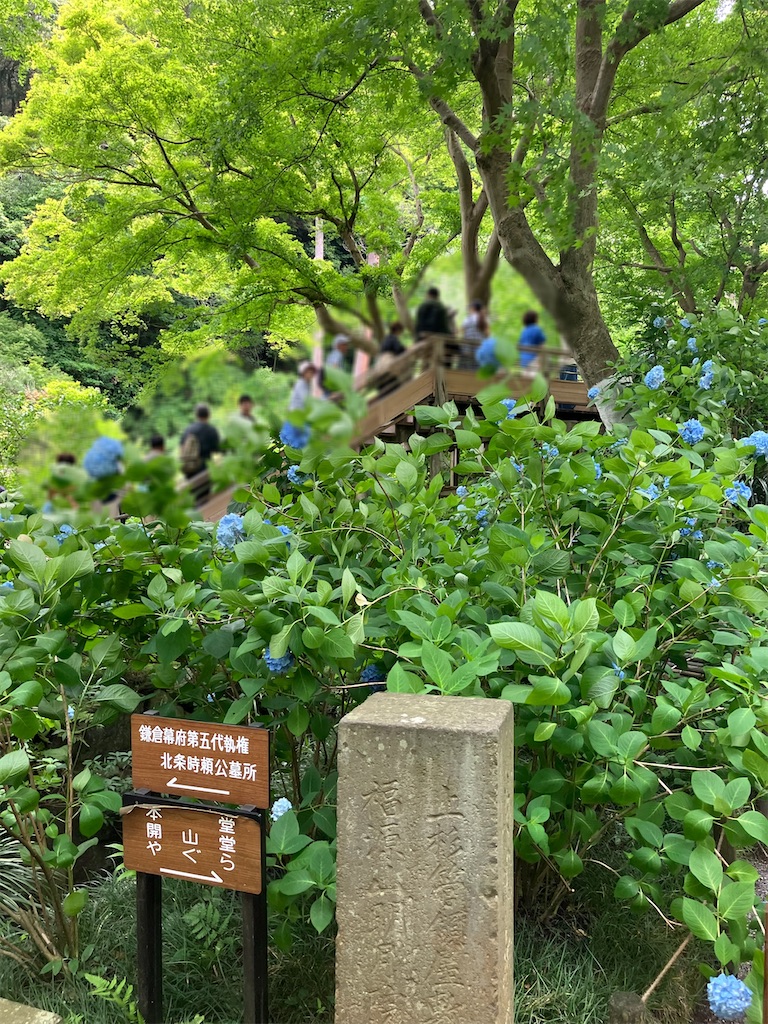 f:id:takaaoyama:20260608114839j:image