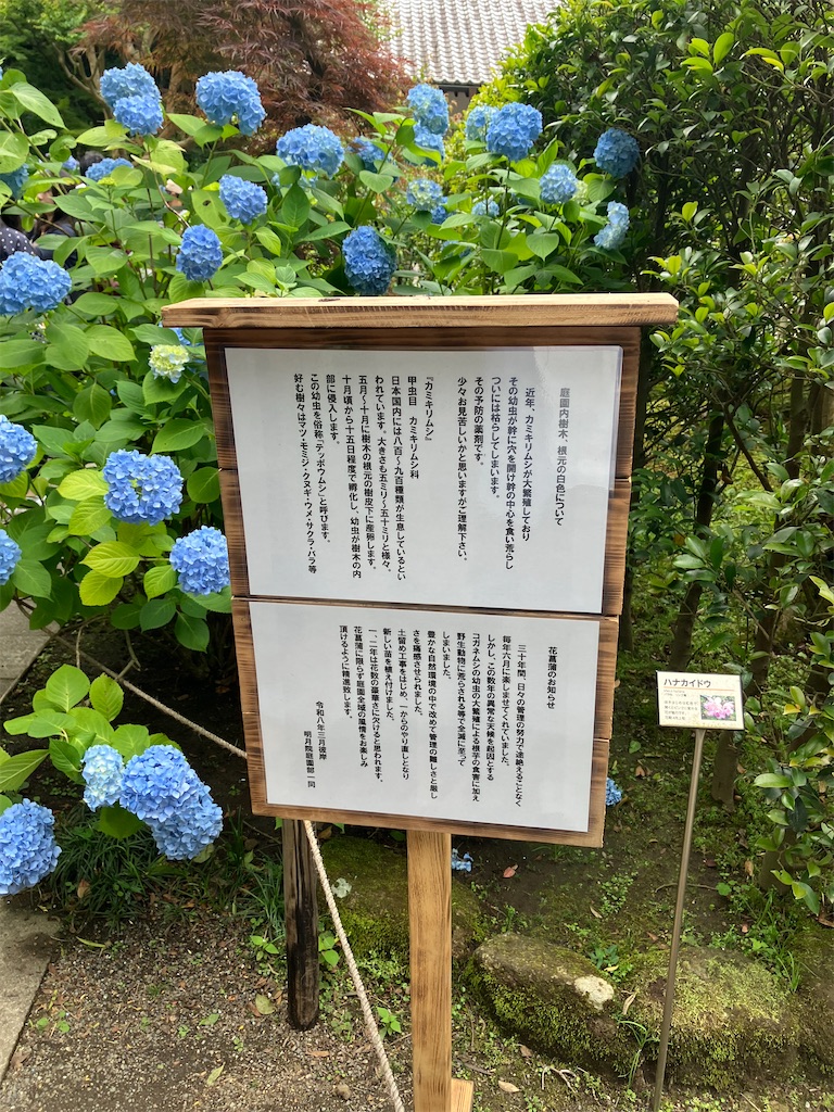 f:id:takaaoyama:20260608115028j:image