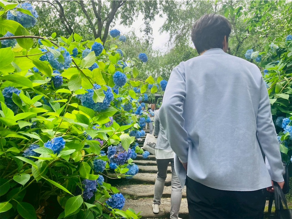f:id:takaaoyama:20260608115154j:image