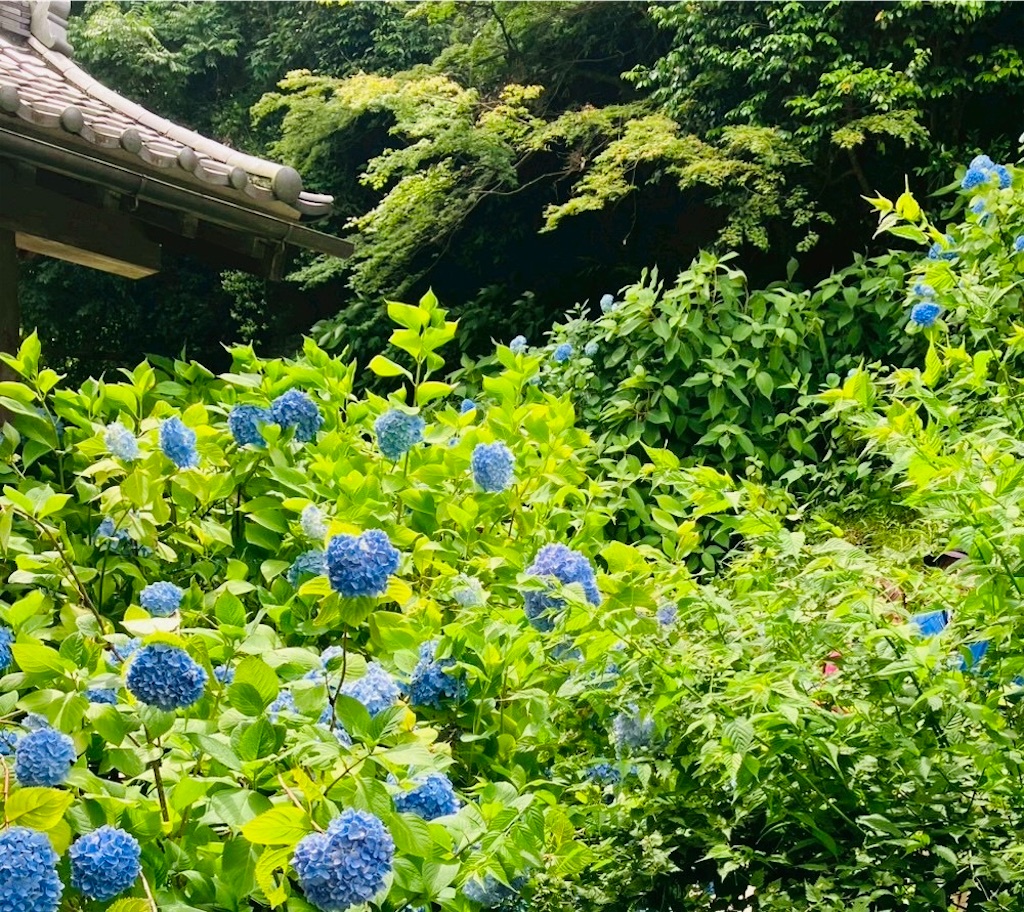 f:id:takaaoyama:20260608174833j:image