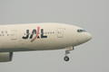 [ひこうき]B777-289 JAL JA007D