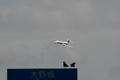 [ひこうき]JAL JA8069 MD-90-30
