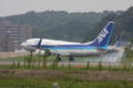 [ひこうき]ANK JA06AN B737-781