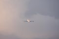 [ひこうき]JAL JA8073 B747-446