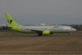 [ひこうき]JIN AIR B737