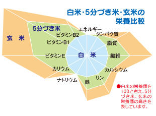f:id:takabonyade:20200626131459j:plain
