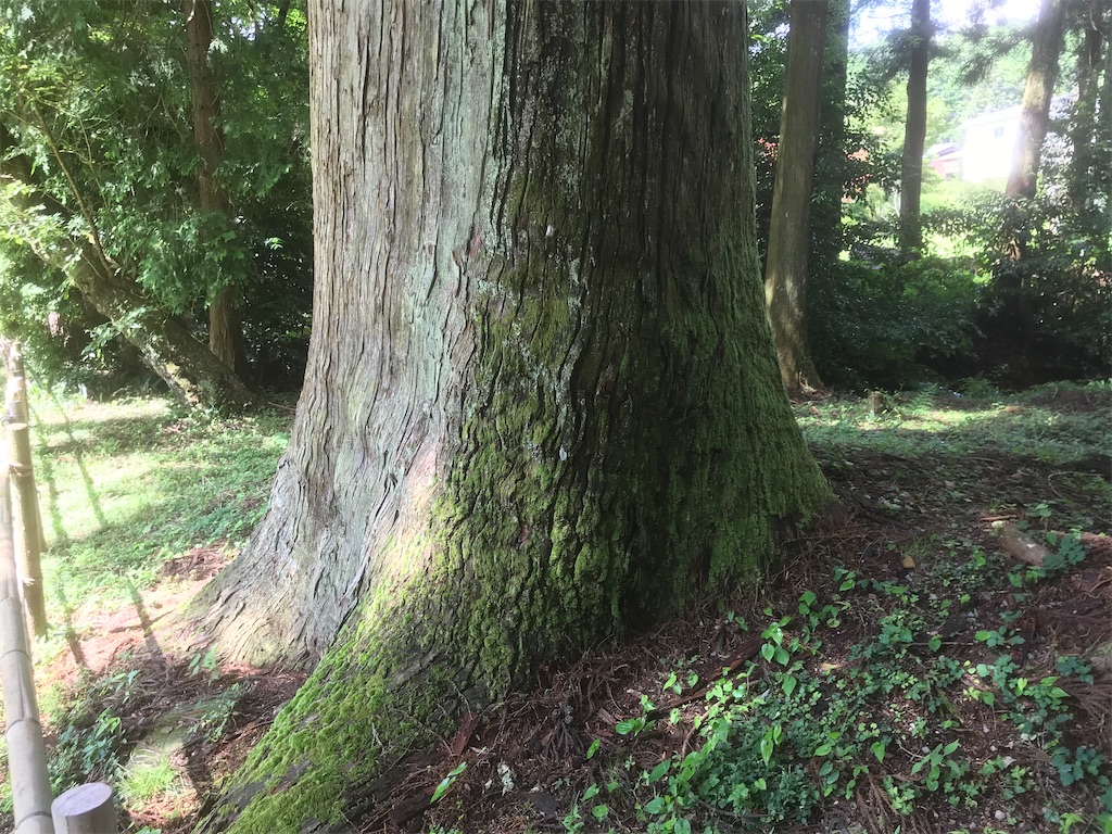 f:id:takabonyade:20200730054259j:image f:id:takabonyade:20200730054259j:image