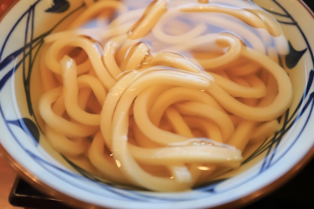 透き通ったお出汁のかけうどん