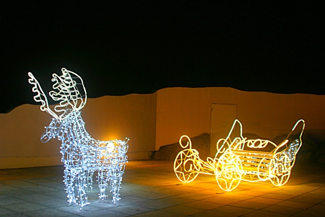 トナカイ】と【シカ】の違いとは何？ - takabonblog.com