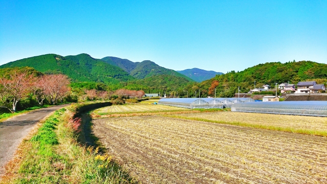 秋の田舎