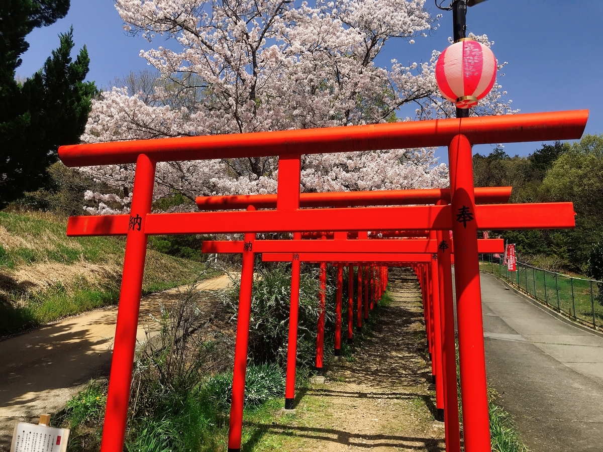 「丸高稲荷神社」にあるたくさんの鳥居