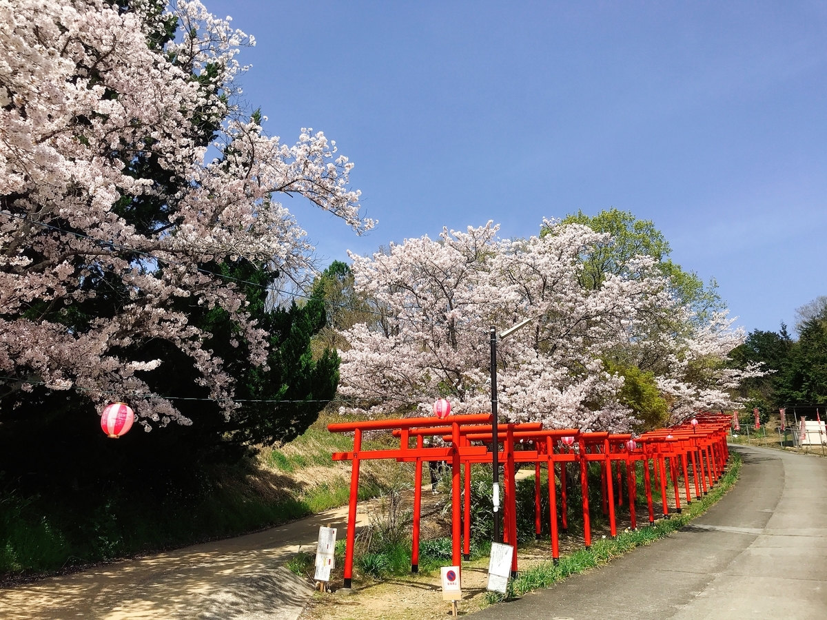「丸高稲荷神社」にあるたくさんの鳥居