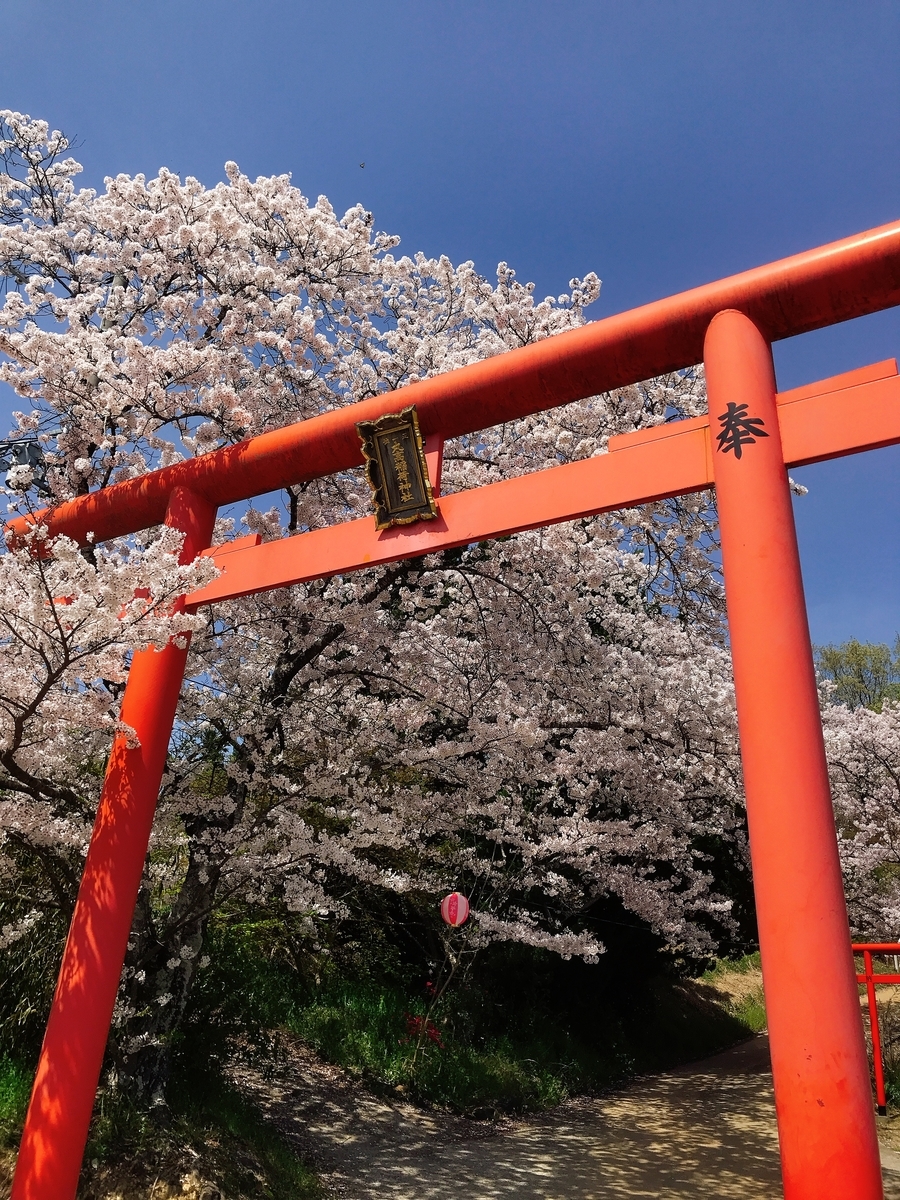 「丸高稲荷神社」の入口の鳥居