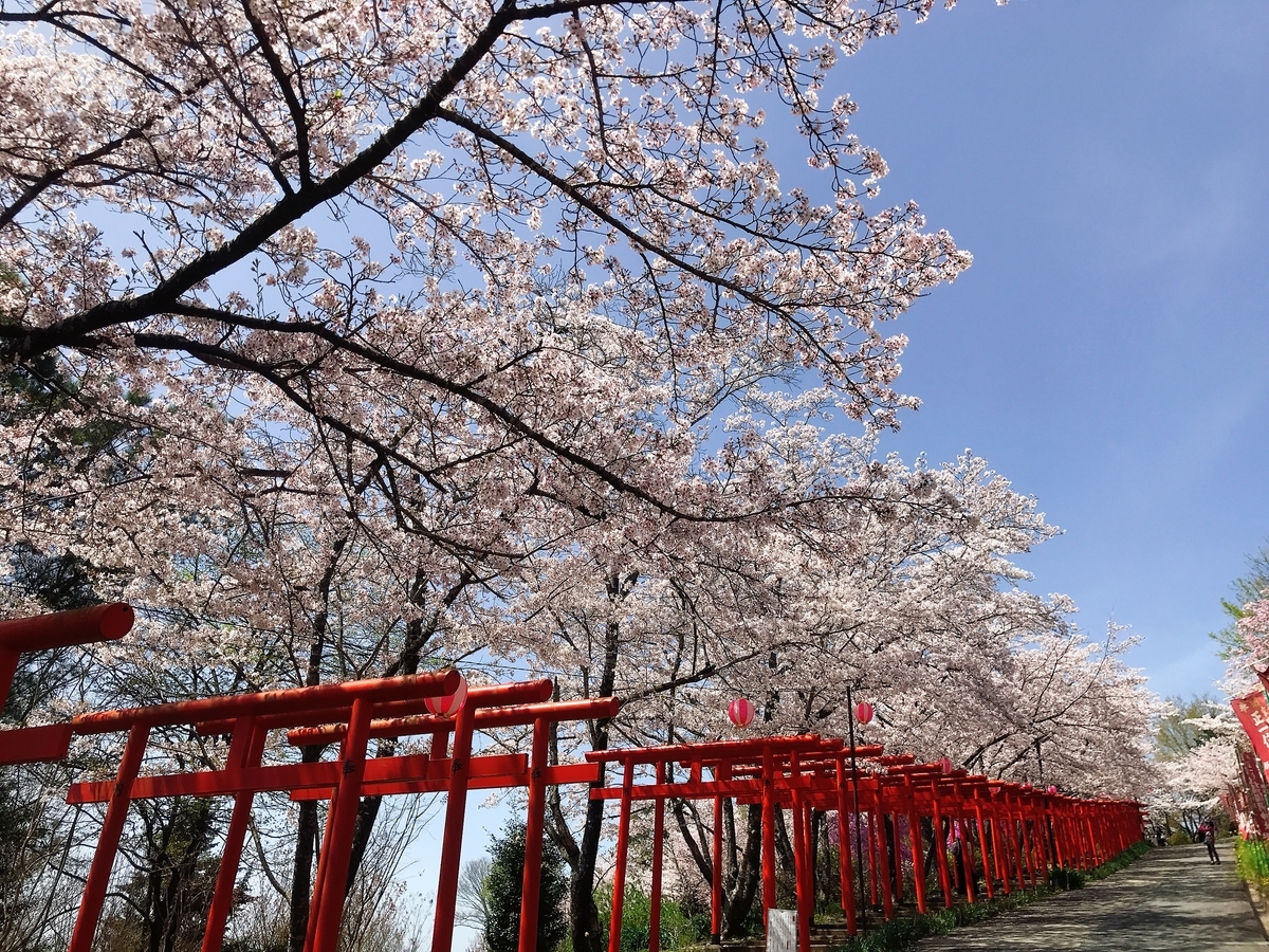 「丸高稲荷神社」にあるたくさんの鳥居