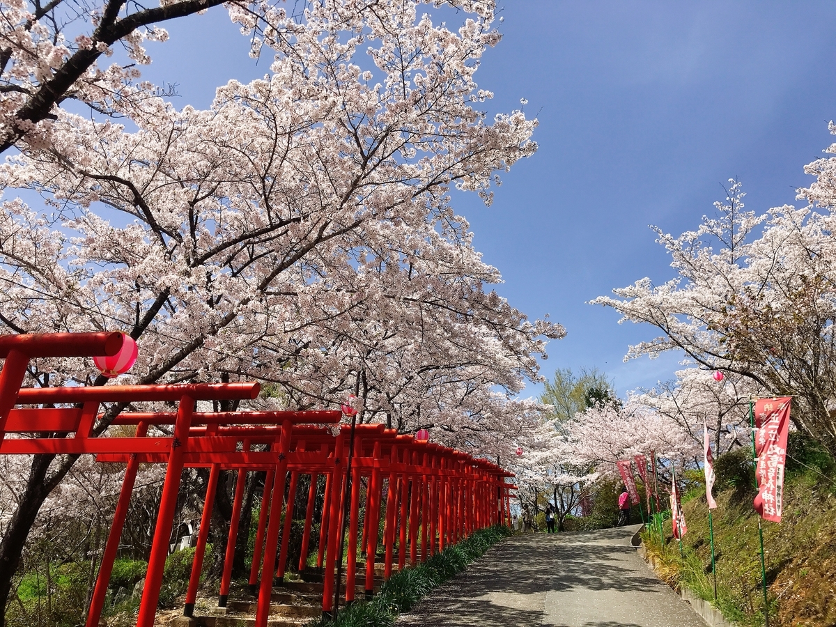 「丸高稲荷神社」にあるたくさんの鳥居