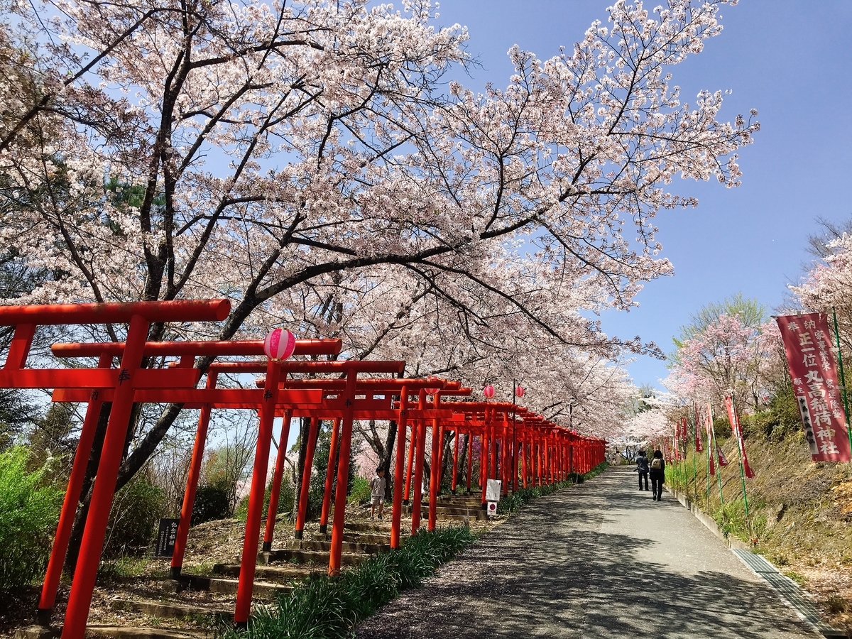「丸高稲荷神社」にあるたくさんの鳥居