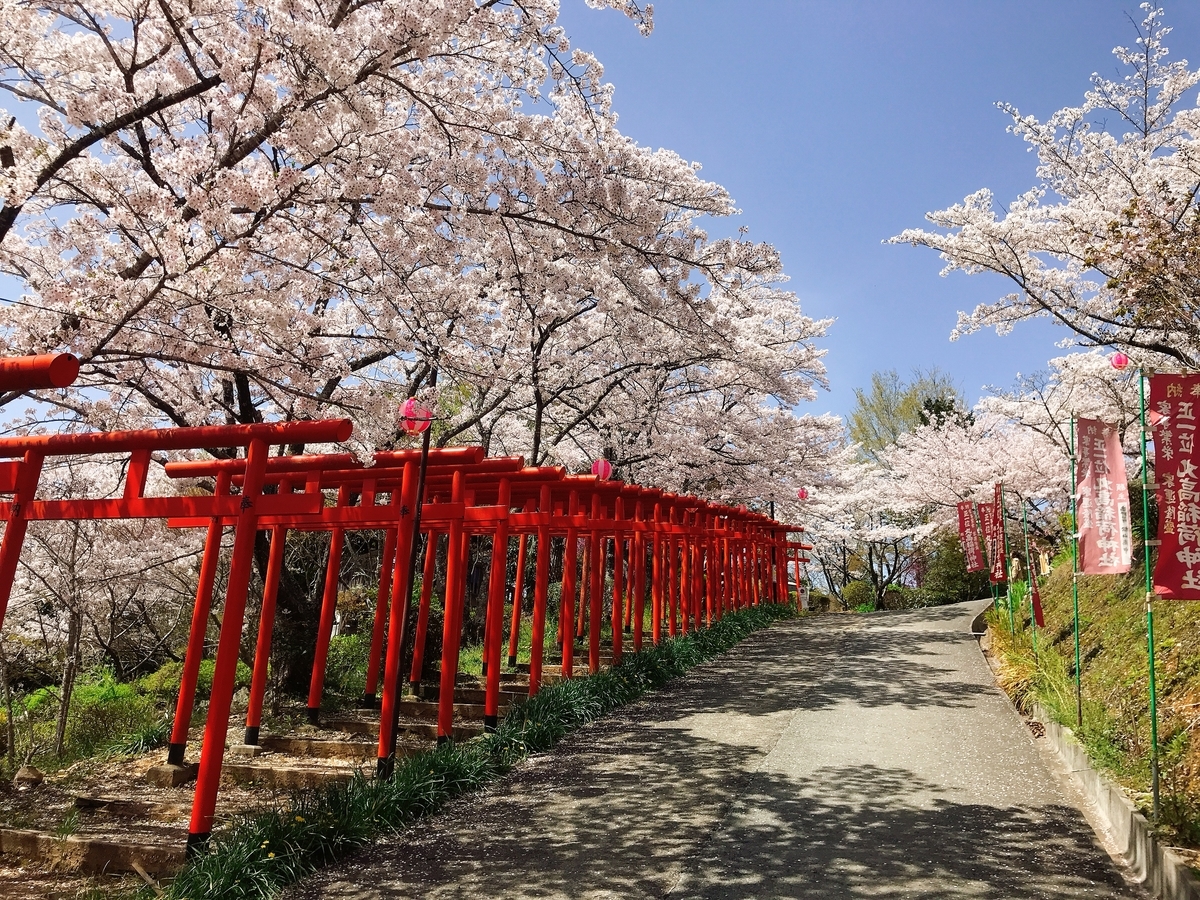 「丸高稲荷神社」にあるたくさんの鳥居