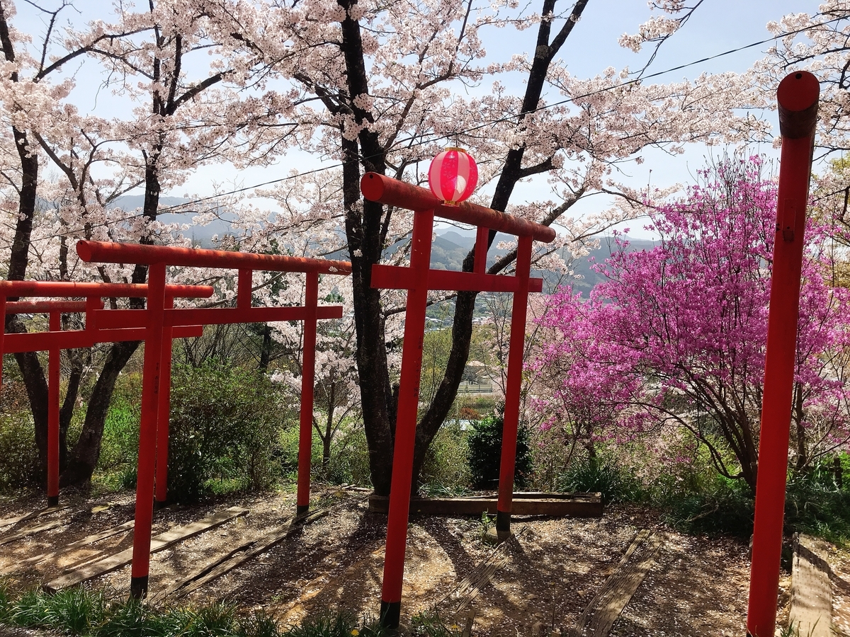 「丸高稲荷神社」にあるたくさんの鳥居