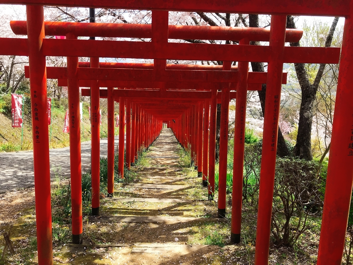 「丸高稲荷神社」にあるたくさんの鳥居の一番上から写してみた！