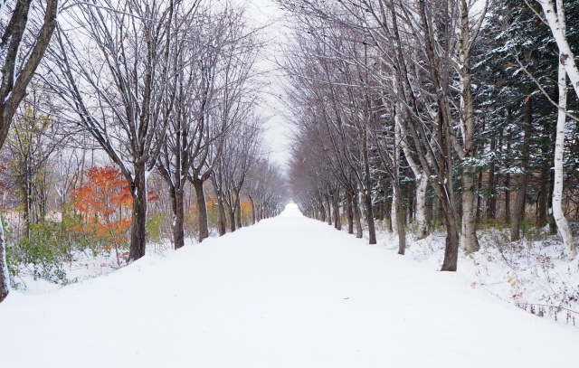 雪道