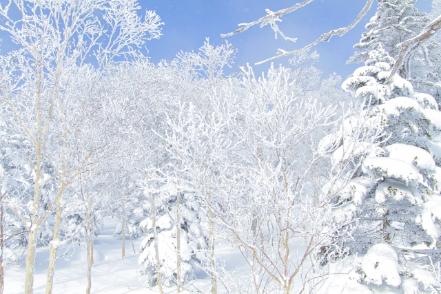 雪山　スキー場　バックカントリー