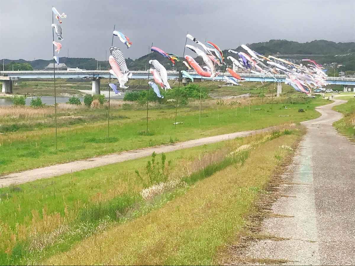大川橋の鯉のぼり