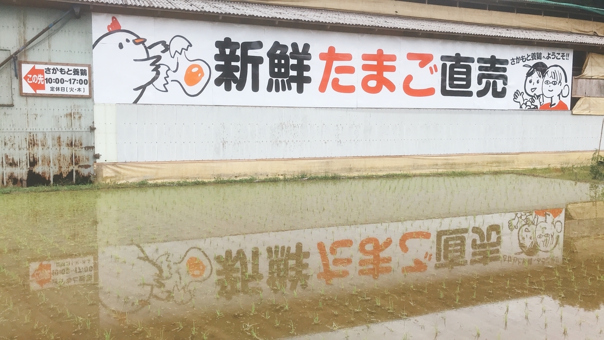 亡き父が開発した卵を受け継ぎ養鶏場を営む2人の若い姉妹が奈良県五條