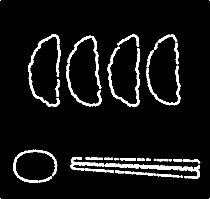 Python Opencv で星座を作るプログラム ぱそきいろのit日記