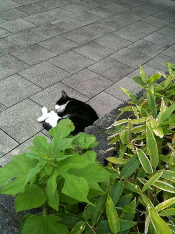f:id:takach-tontoro:20110904201443j:image f:id:takach-tontoro:20110904201443j:image