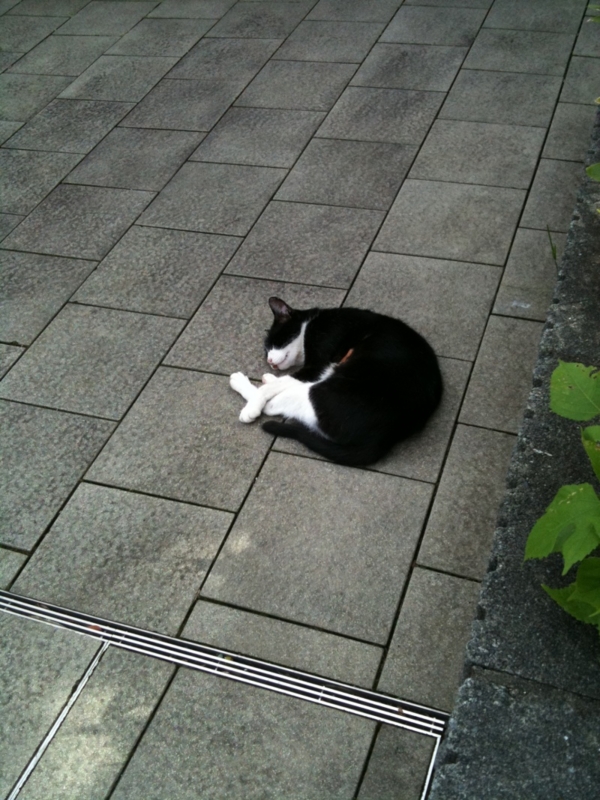 f:id:takach-tontoro:20110904201445j:image f:id:takach-tontoro:20110904201445j:image