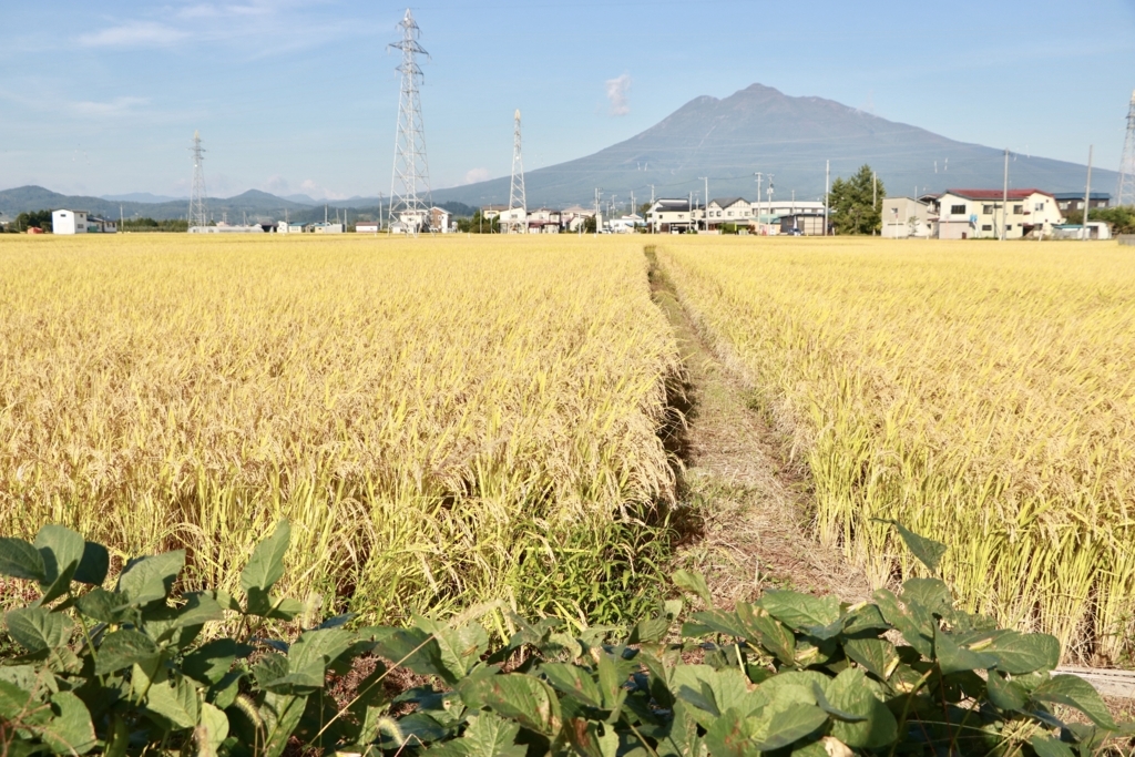 f:id:takada128:20170927214546j:plain