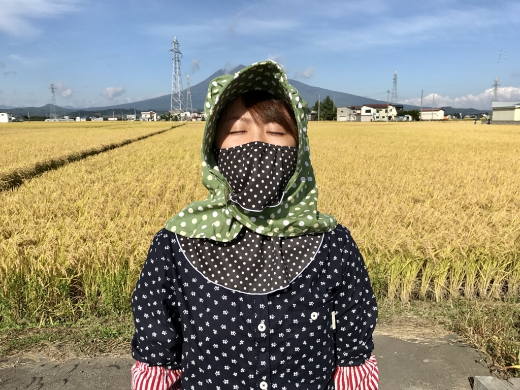 f:id:takada128:20170928184500j:plain