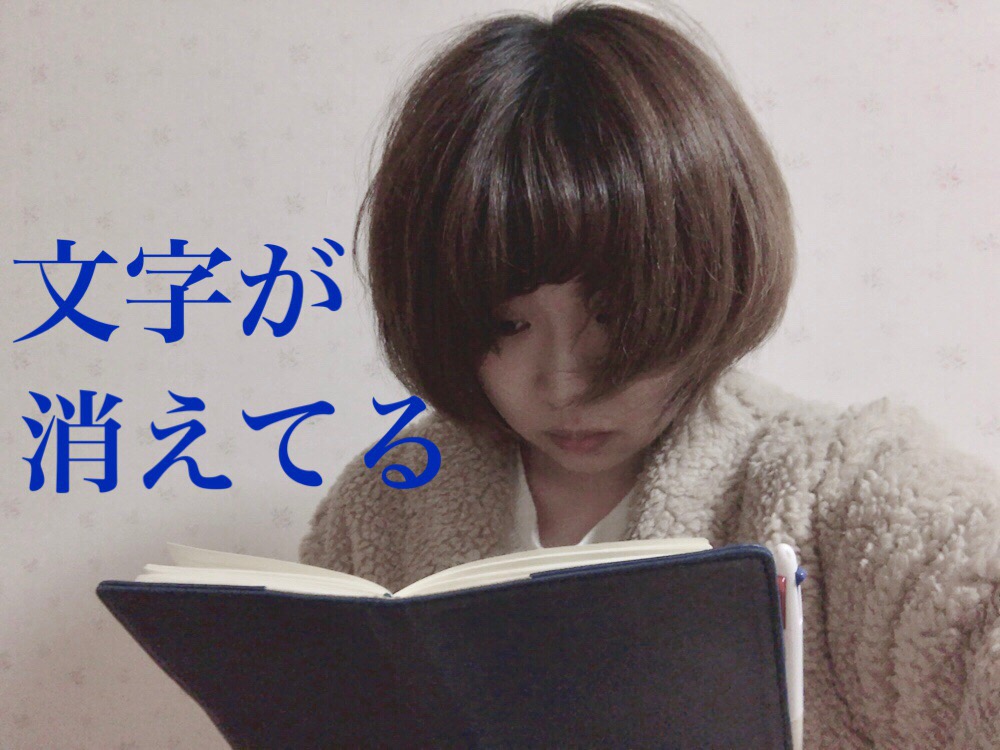 f:id:takada128:20171120172913j:plain