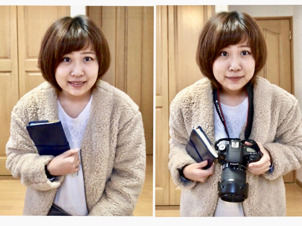 f:id:takada128:20171120181636j:plain