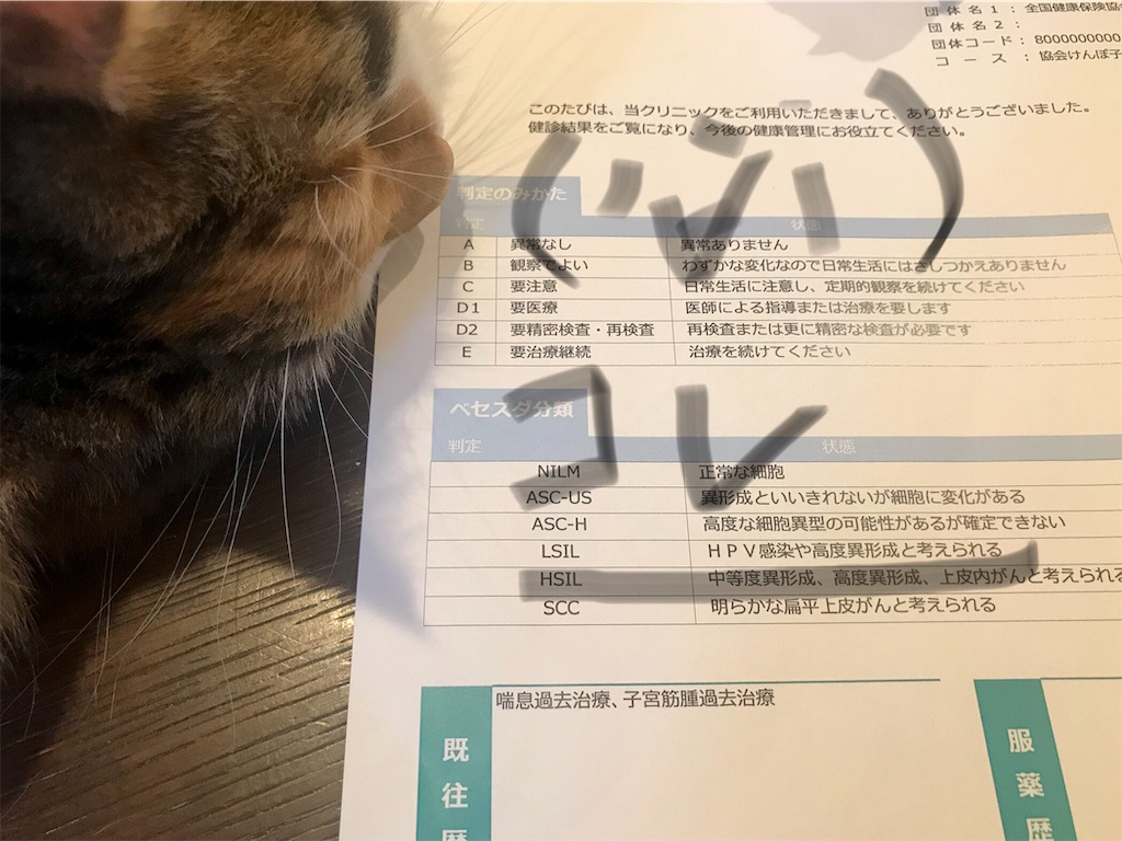 f:id:takadamanami0318:20190819205706j:image