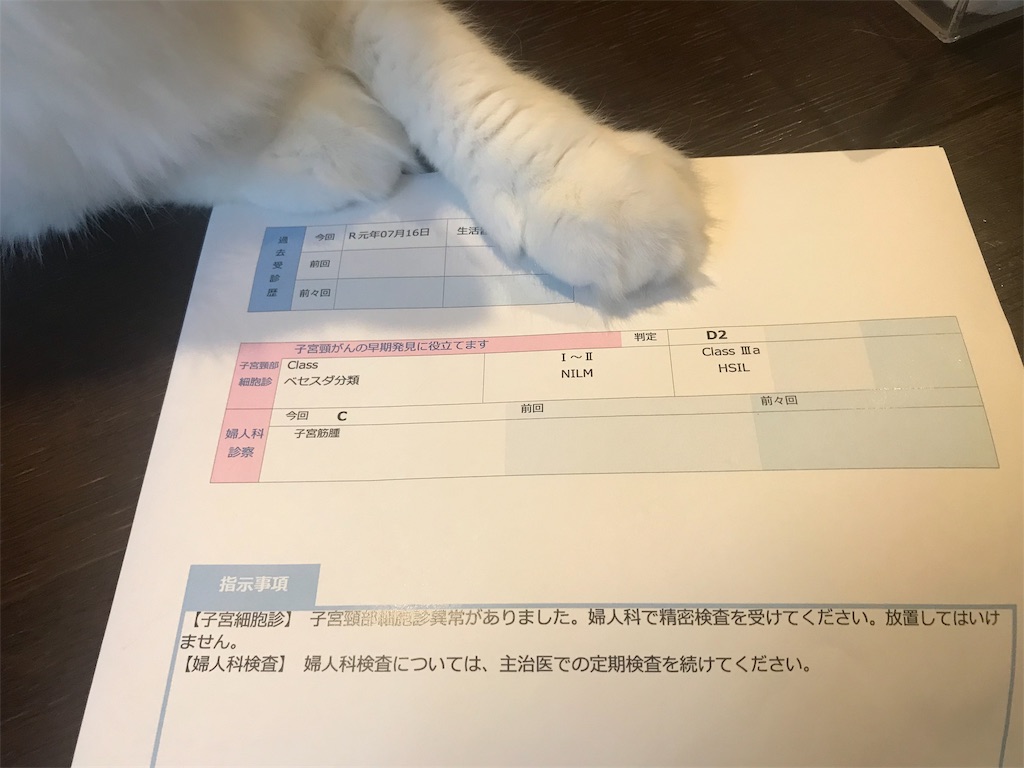 f:id:takadamanami0318:20190819205711j:image