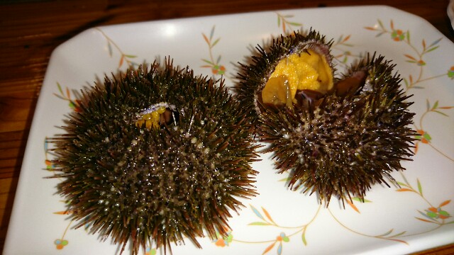 f:id:takadera:20161029003142j:image f:id:takadera:20161029003142j:image