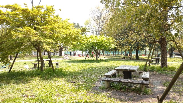 f:id:takadera:20200416125057j:image