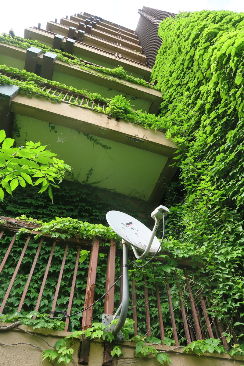 f:id:takadera:20210621201719j:plain