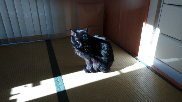 f:id:takadera:20220222140103j:image f:id:takadera:20220222140103j:image