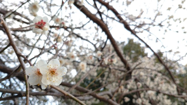 f:id:takadera:20220222203820j:image f:id:takadera:20220222203820j:image