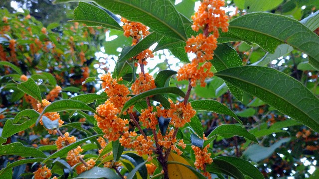 f:id:takadera:20220929235000j:image f:id:takadera:20220929235000j:image