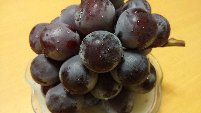 f:id:takadera:20220929235024j:image f:id:takadera:20220929235024j:image