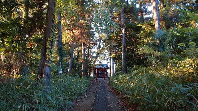 f:id:takadera:20221121170219j:image