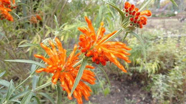 f:id:takadera:20221122162026j:image