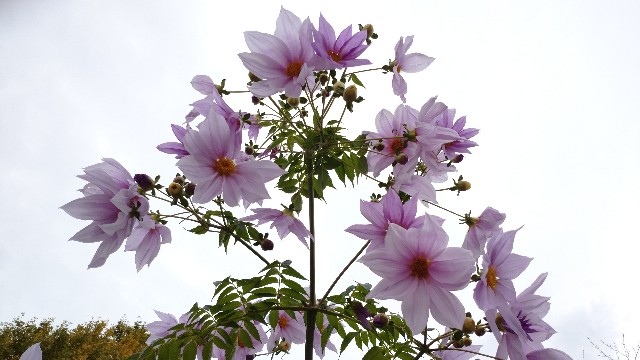 f:id:takadera:20221122162040j:image