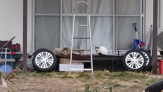 f:id:takadera:20230208162754j:image f:id:takadera:20230208162754j:image