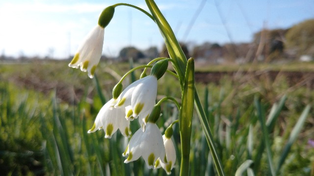 f:id:takadera:20230328171749j:image f:id:takadera:20230328171749j:image