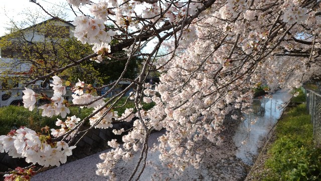 f:id:takadera:20230328171820j:image f:id:takadera:20230328171820j:image